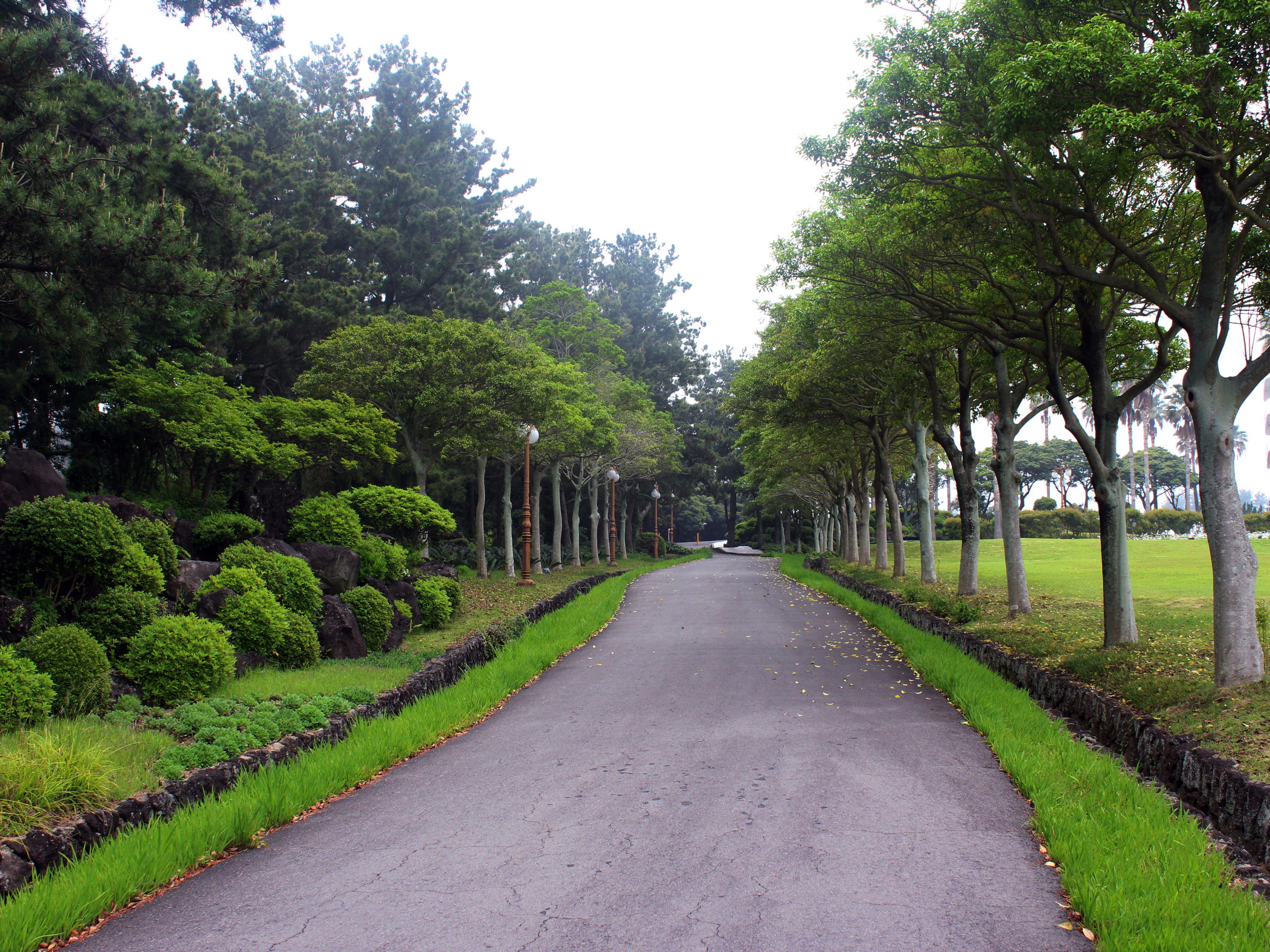 Seogwipo Kal Hotel Εξωτερικό φωτογραφία Road through the park