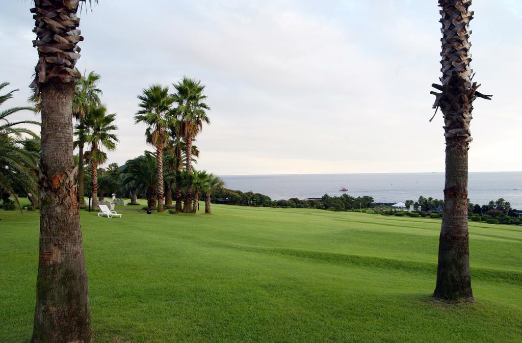 Seogwipo Kal Hotel Εξωτερικό φωτογραφία Golf course in Okinawa