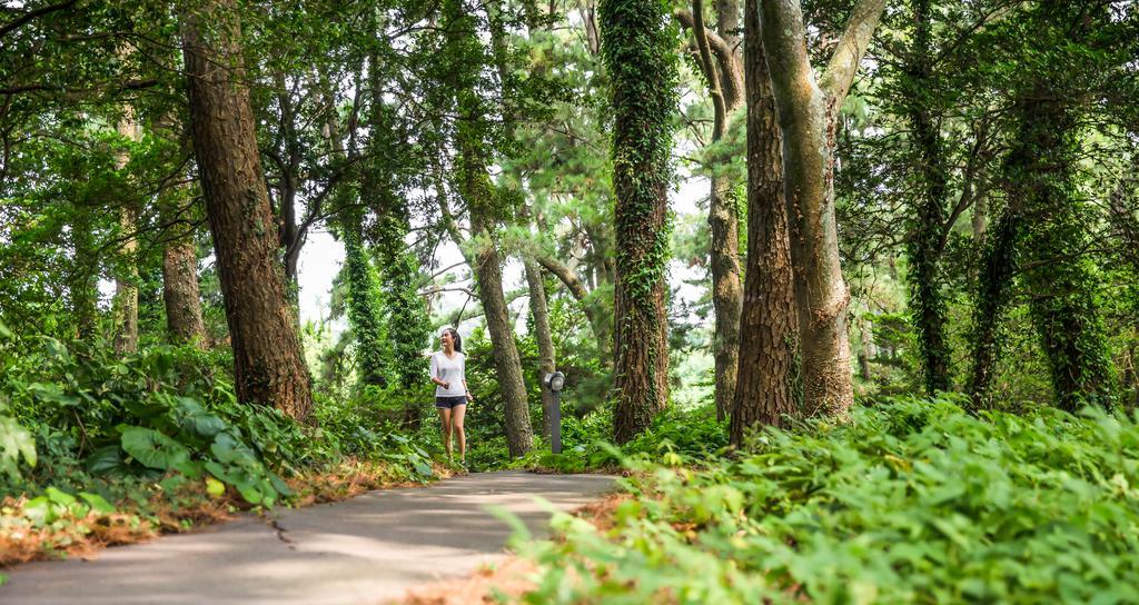 Seogwipo Kal Hotel Εξωτερικό φωτογραφία A trail in the park